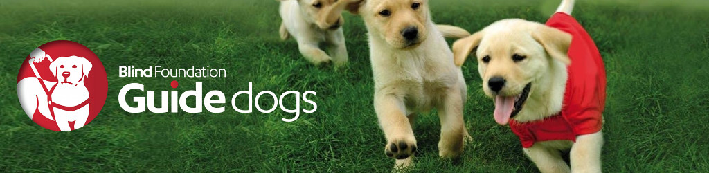 three puppies playing in the grass