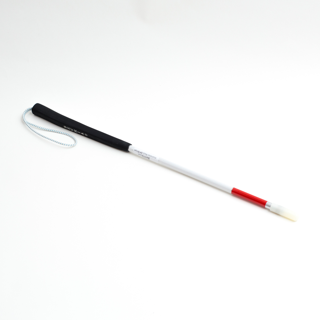blind canes and accessories