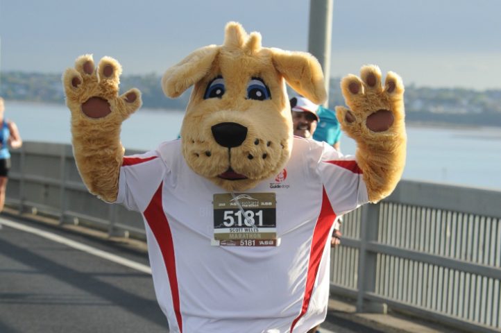 Marvel the guide dog mascot