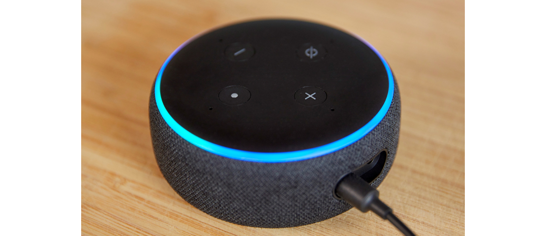 alexa for the blind