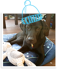 Pia with her favourite toy