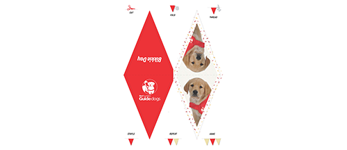 bunting tag